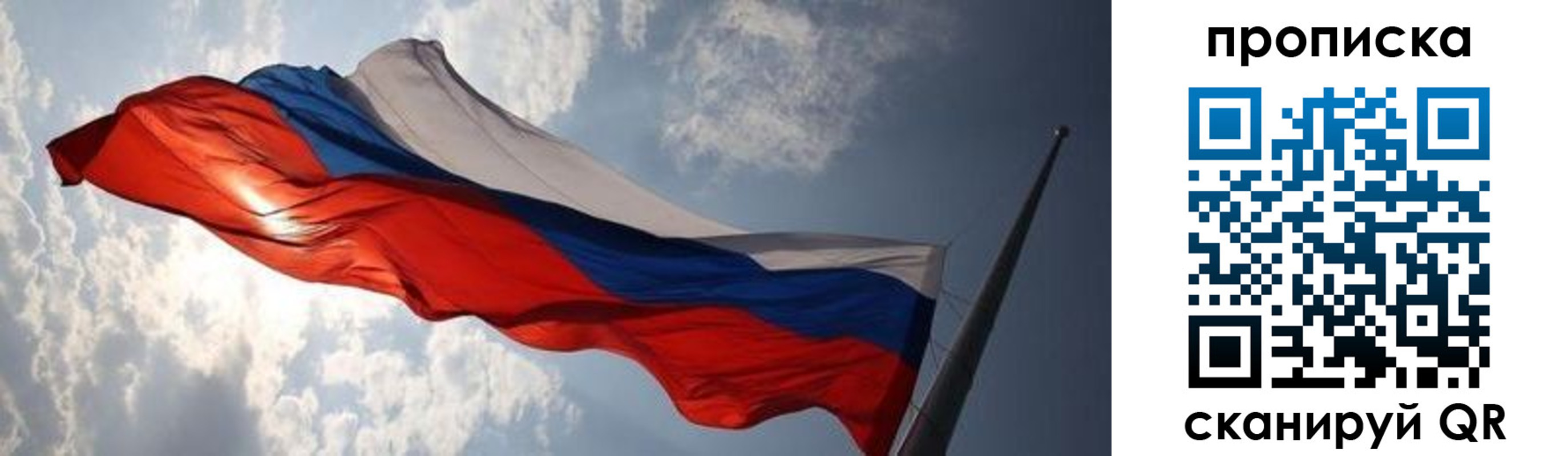 прописка штамп в Судогде